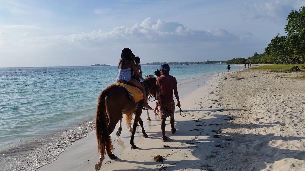 The Retreat @ A Piece Of Paradise Bed and Breakfast Montego Bay Exterior foto